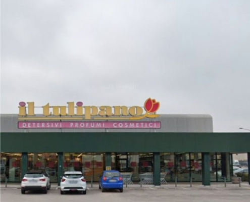 il tulipano
